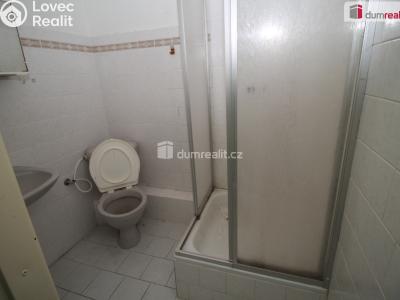 Prodej ubytovacího zařízení Nejdek, Nad Rolavou 317 č. 11