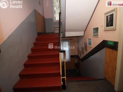 Prodej ubytovacího zařízení Nejdek, Nad Rolavou 317 č. 13