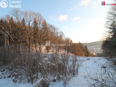 Prodej ubytovacího zařízení Nejdek, Nad Rolavou 317 č. 16