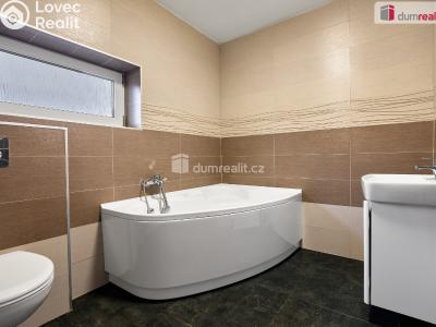 Prodej rodinného domu Nové Sedlo, Loketská 107 č. 3