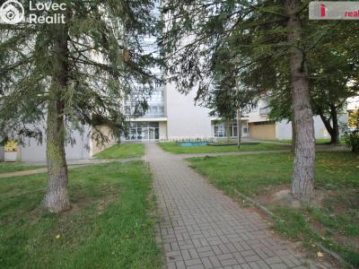 Prodej bytu 4+1 Mariánské Lázně, Havlíčkova 599 č. 17