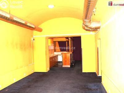 Pronájem restaurace Plzeň, Americká 16 č. 7