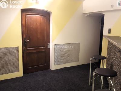 Pronájem restaurace Brno, Zahradnická 298 č. 13