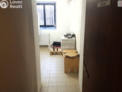 Pronájem restaurace Brno, Zahradnická 298 č. 22