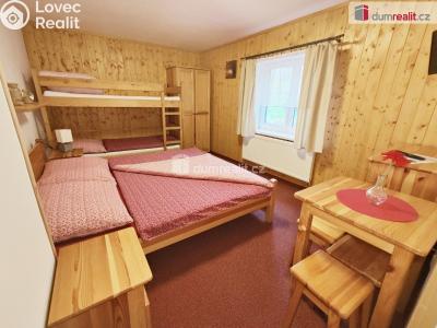 Prodej ubytovacího zařízení Benecko č. 21