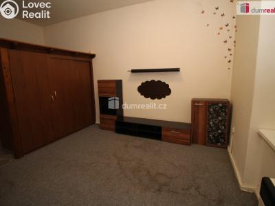 Pronájem bytu 1+1 Karlovy Vary, Lad. Koubka 413 č. 2