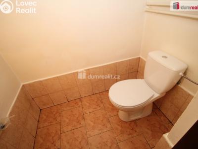 Pronájem bytu 1+1 Karlovy Vary, Lad. Koubka 413 č. 13