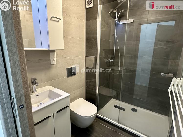 Pronájem bytu 1+KK Ostrov, Jungmannova 1260 č. 2