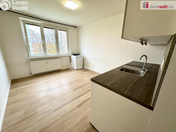 Pronájem bytu 1+KK Ostrov, Jungmannova 1260 č. 5