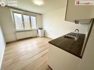 Pronájem bytu 1+KK Ostrov, Jungmannova 1260 č. 5