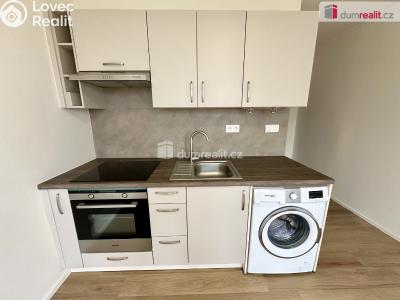 Pronájem bytu 1+KK Ostrov, Jungmannova 1260 č. 4