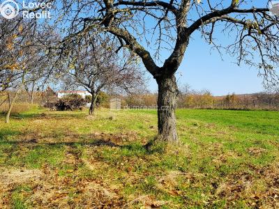 Prodej pozemku Brno, Jámy 770 č. 7