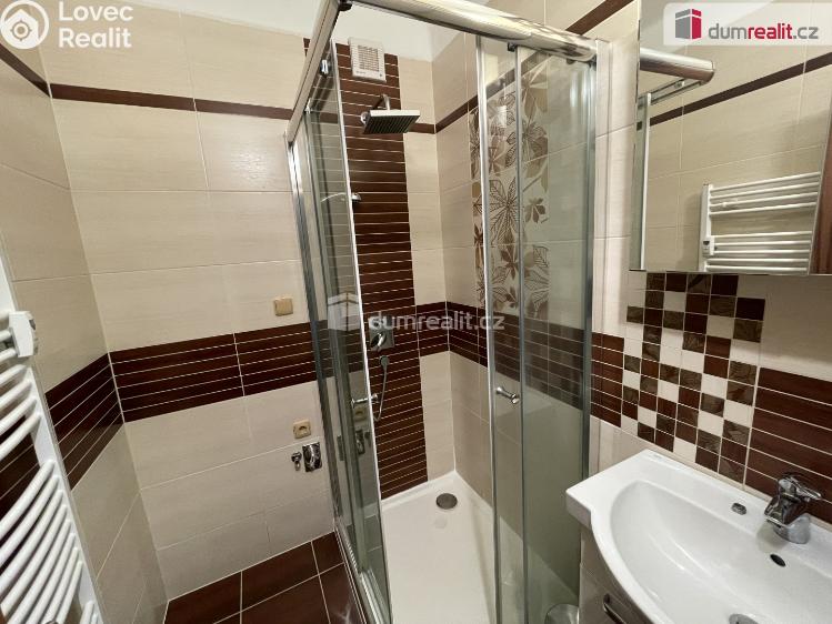 Pronájem bytu 2+1 Příbram, K. H. Máchy 272 č. 2
