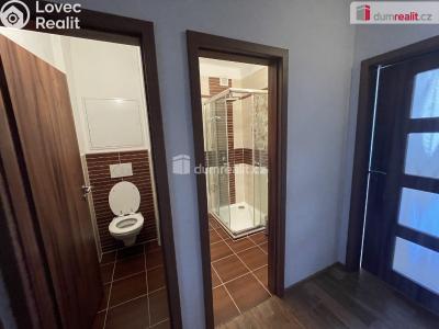 Pronájem bytu 2+1 Příbram, K. H. Máchy 272 č. 8