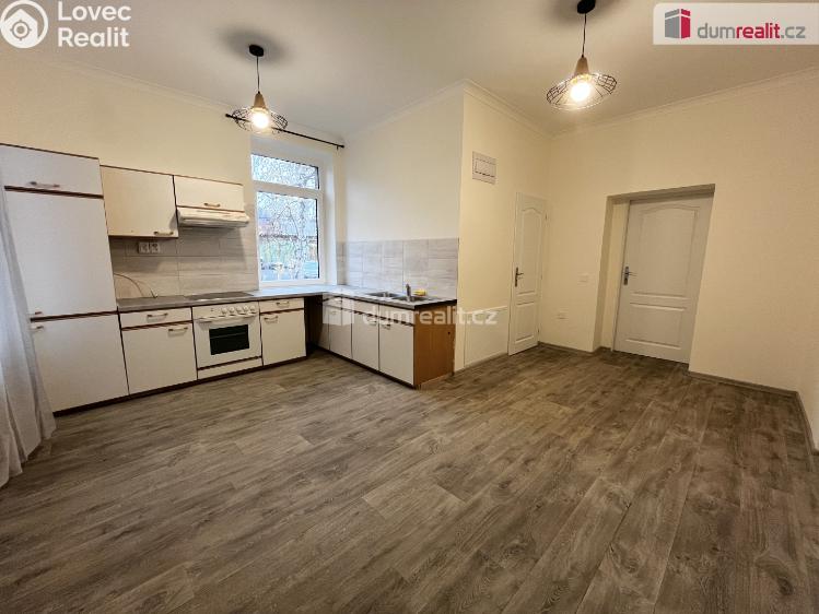 Pronájem bytu 1+1 Ústí nad Labem, Jateční 3554 č. 1