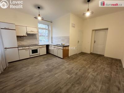 Pronájem bytu 1+1 Ústí nad Labem, Jateční 3554 č. 1