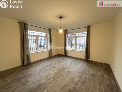 Pronájem bytu 1+1 Ústí nad Labem, Jateční 3554 č. 2