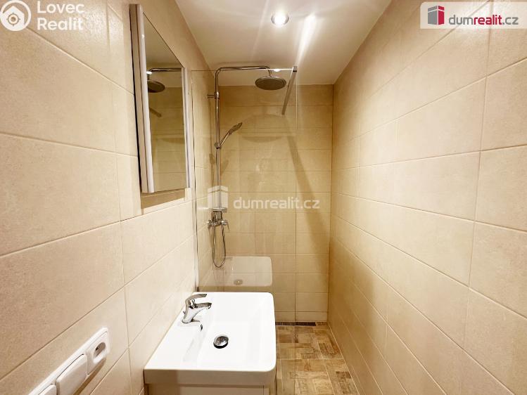 Prodej bytu 1+KK Praha, Nad lesním divadlem 1115 č. 4