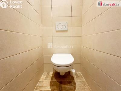 Prodej bytu 1+KK Praha, Nad lesním divadlem 1115 č. 5