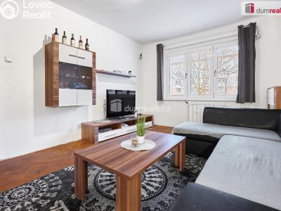 Prodej bytu 2+1 Ostrov, Hlavní třída 1001 č. 8