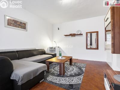 Prodej bytu 2+1 Ostrov, Hlavní třída 1001 č. 9