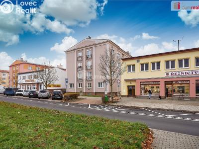 Prodej bytu 2+1 Ostrov, Hlavní třída 1001 č. 11