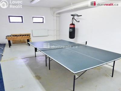Pronájem obchodního prostoru Roudnice nad Labem, Náměstí Jana z Dražic 319 č. 8