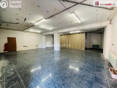 Pronájem skladového prostoru Hodonín, nám. 17. listopadu 3870 č. 1