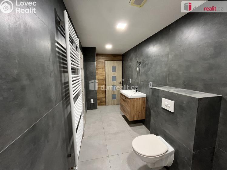 Pronájem rodinného domu Modlany č. 4