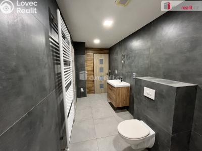 Pronájem rodinného domu Modlany č. 4