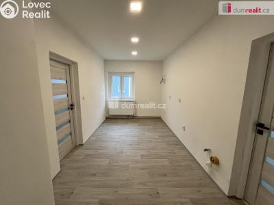 Pronájem rodinného domu Modlany č. 11