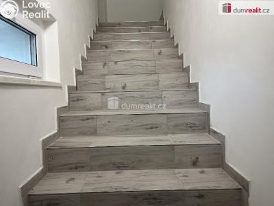 Pronájem rodinného domu Modlany č. 16