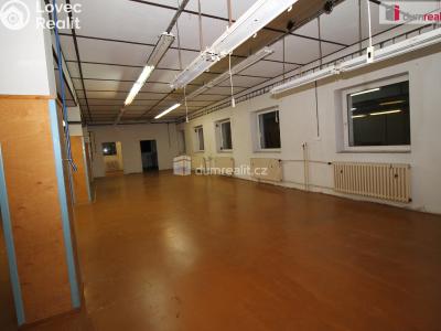 Prodej činžovního domu Aš, Chebská 1310 č. 3