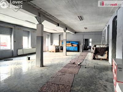 Pronájem výrobní haly Aš, Okružní 1131 č. 7