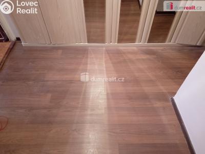 Pronájem bytu 1+1 Karlovy Vary, Petřín 712 č. 16