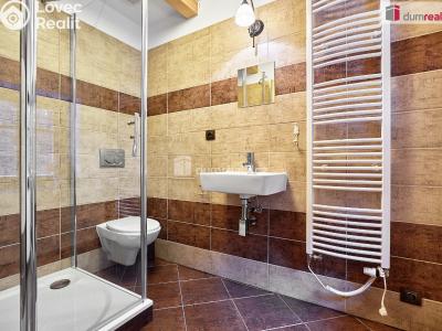 Prodej stavebního pozemku Merklín č. 24