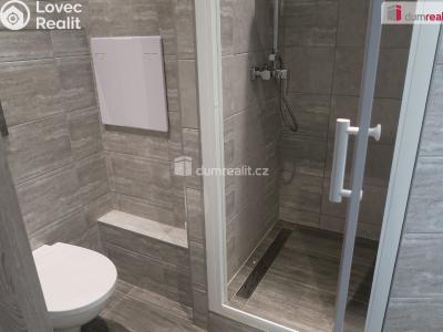 Pronájem bytu 1+1 Zlín, Dětská 4625 č. 16