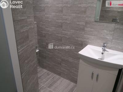 Pronájem bytu 1+1 Zlín, Dětská 4625 č. 20