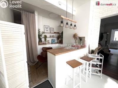 Prodej činžovního domu Ústí nad Labem, Kosmonautů 571 č. 17