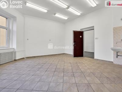 Prodej činžovního domu Ústí nad Labem, Koněvova 1491 č. 25