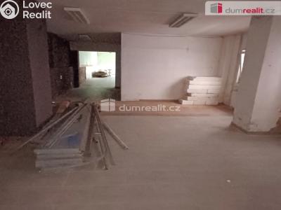 Prodej výrobní haly Děčín, Dělnická č. 6