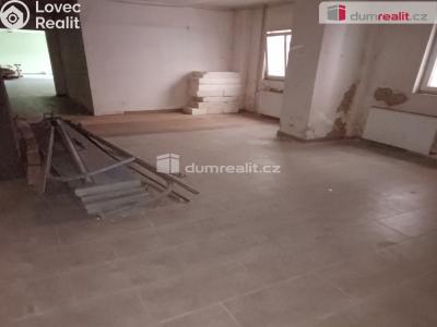 Prodej výrobní haly Děčín, Dělnická č. 7