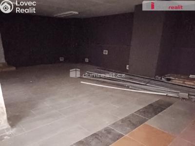 Prodej výrobní haly Děčín, Dělnická č. 11