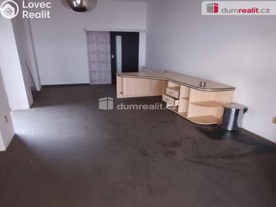 Prodej výrobní haly Děčín, Dělnická 1898 č. 6