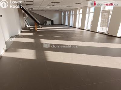 Prodej výrobní haly Děčín, Dělnická 1898 č. 9