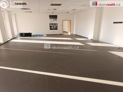 Prodej výrobní haly Děčín, Dělnická 1898 č. 10