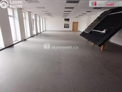 Prodej výrobní haly Děčín, Dělnická 1898 č. 11