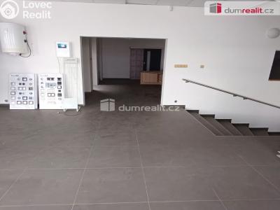 Prodej výrobní haly Děčín, Dělnická 1898 č. 13