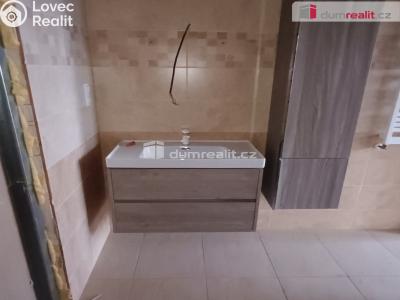 Prodej výrobní haly Děčín, Dělnická 1898 č. 18