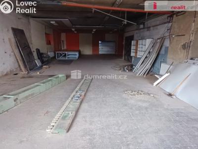 Prodej výrobní haly Děčín, Dělnická 1898 č. 22